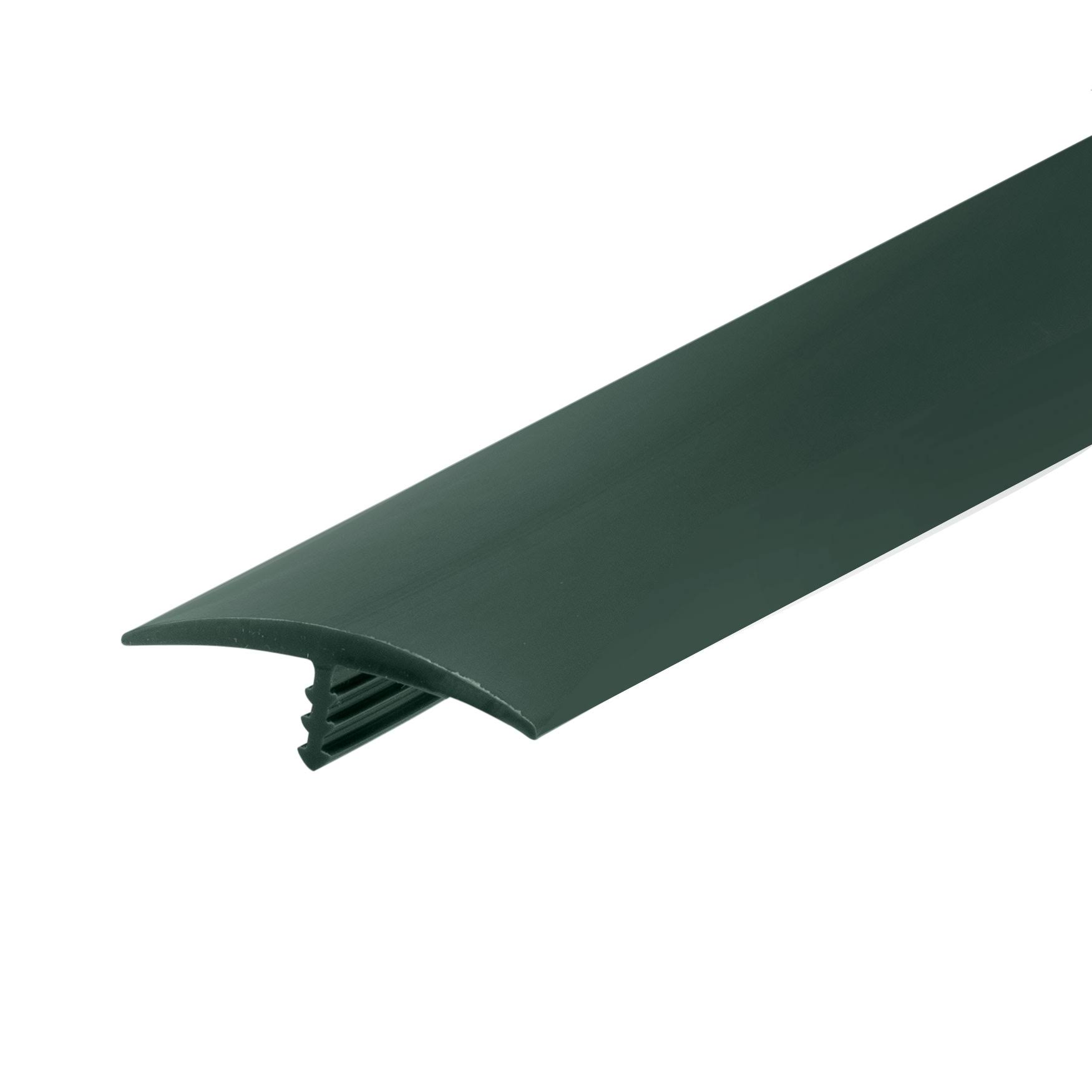 Plastic Standard T Molding 1-1/4in | 105-543-113