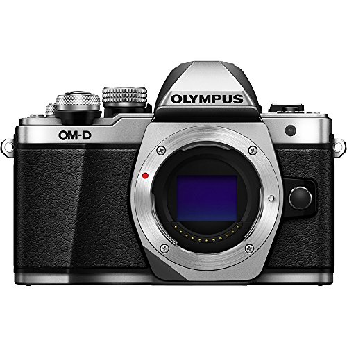 OM SYSTEM OLYMPUS OM-D E-M10 Mark II Mirrorless Camera (Black) - Body only