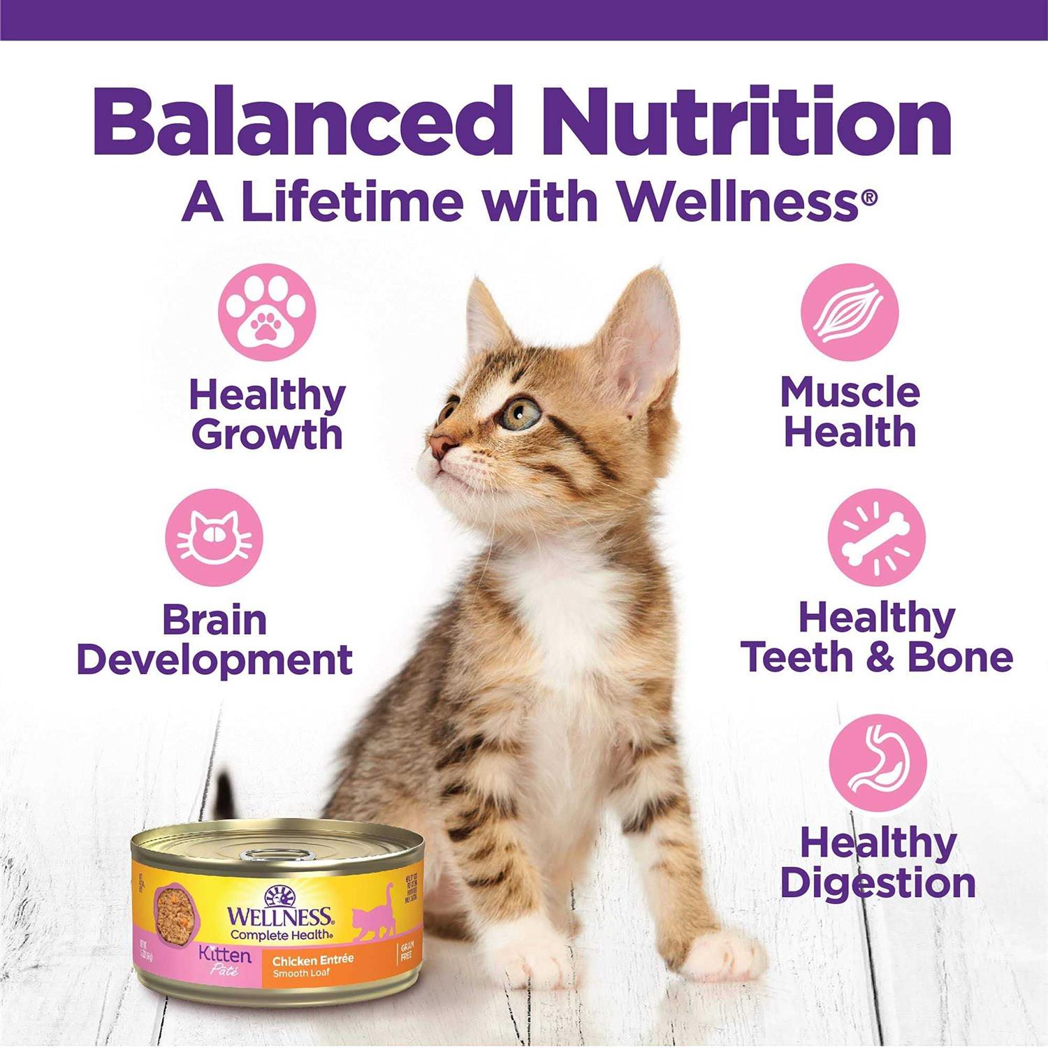 Wellness Complete Health Kitten Whitefish &amp; Tuna Wet Cat Food - Pet Supplies online store