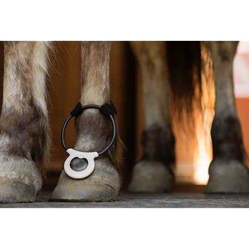 Assisi Loop 2.0 Manual - Pet Supplies online store