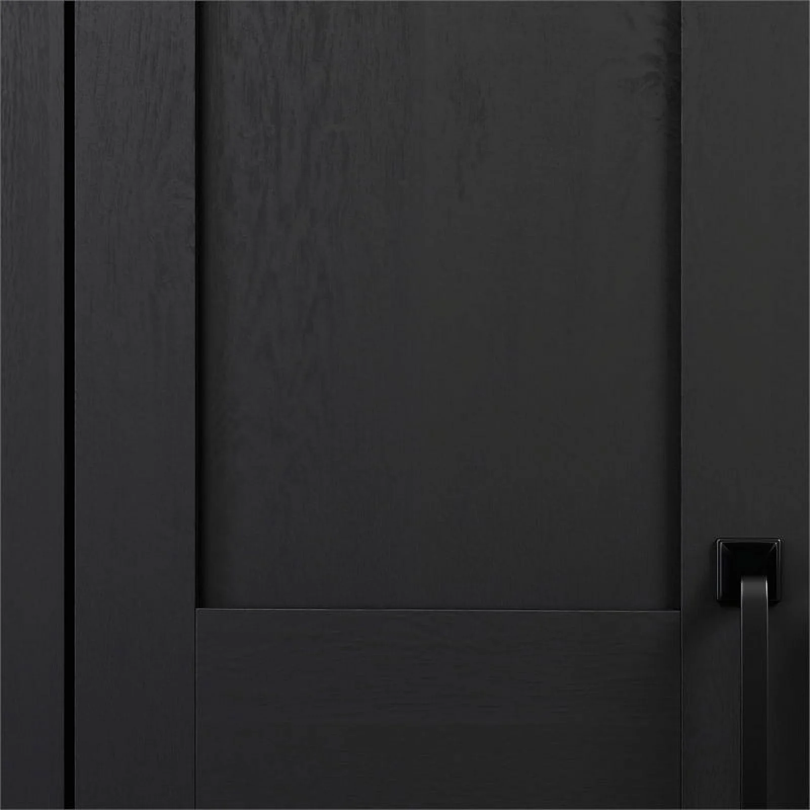 UrbanPro Engineered Wood 2-Door Storage Cabinet in Raven Oak Finish