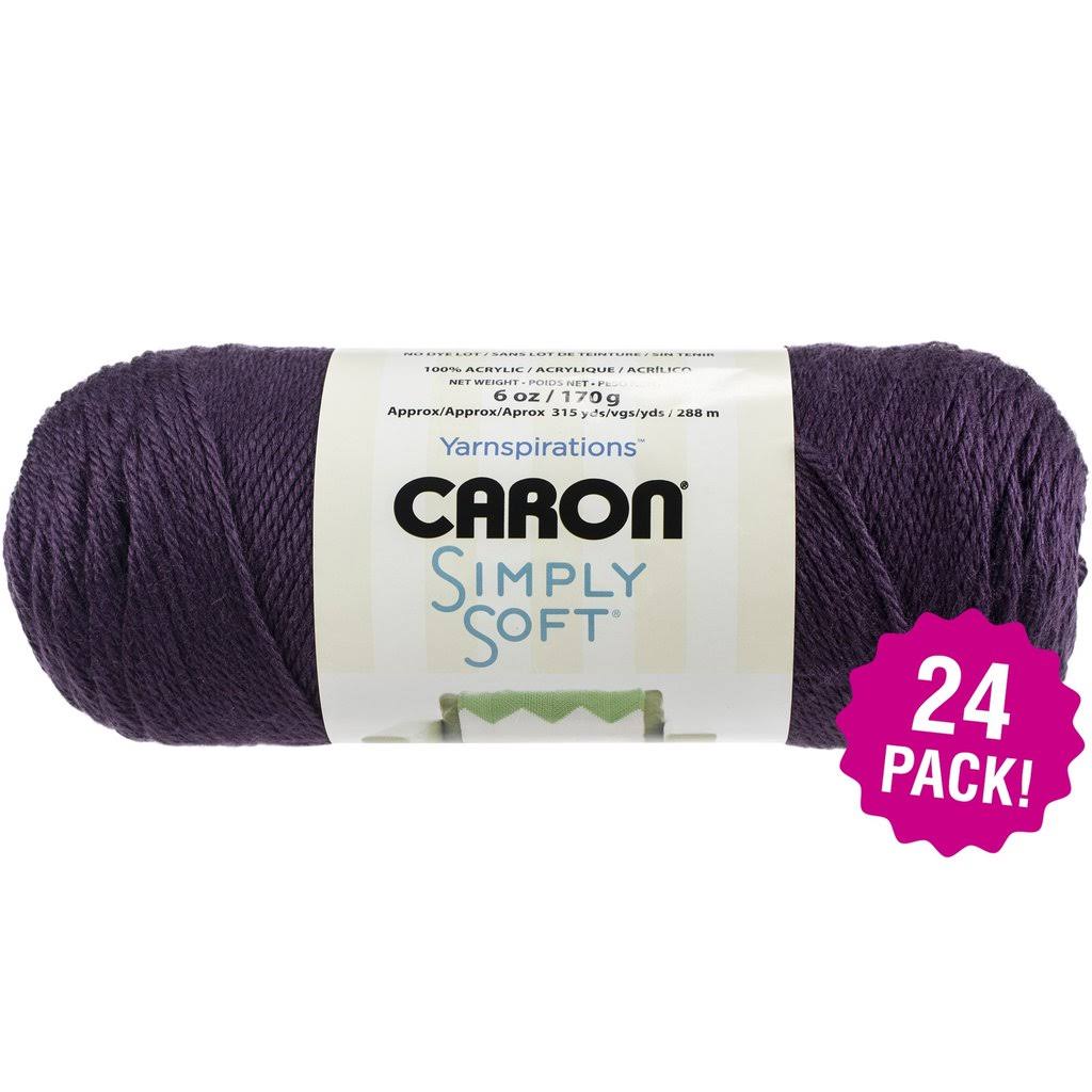 Caron Simply Soft Solids Yarn 24/Pk-Plum Perfect