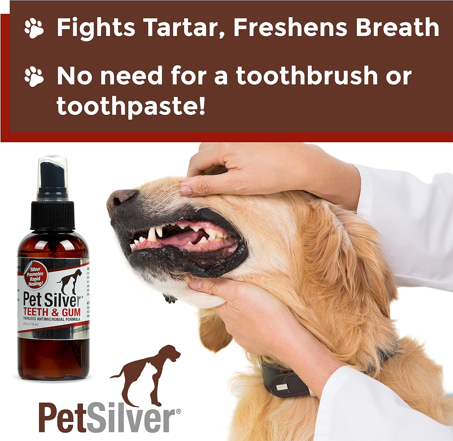 PetSilver Teeth & Gum Spray for Dogs and Cats with Chelated Silver, Made in USA, Vet Formulated, Natural Dental Care Solution, Control Tarter and Plaque, Clean Teeth Without Brushing, 2 Pack Pack of 2