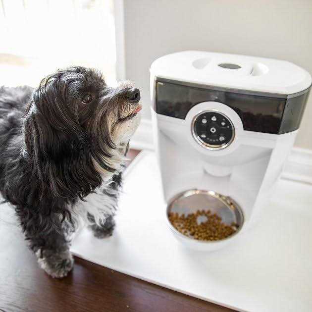 Whisker Feeder-Robot Wi-fi Cat &amp; Dog Auto-Feeder with Hopper &amp; Backup Battery Compatibility - Pet Supplies online store