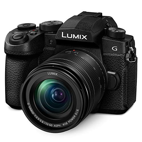 Panasonic LUMIX G95D 20.3 Megapixel Mirrorless Camera, 12-60mm F3.5-5.6 Micro Four Thirds Lens, 5-Axis Dual I.S. 2, 4K 24p 30p Video, Pre-Installed V-Log L, 3” OLED Touchscreen - DC-G95DMK(Black)