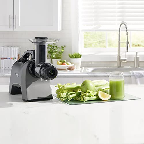 Omega BPA Free, Slow Masticating High Juice Yield