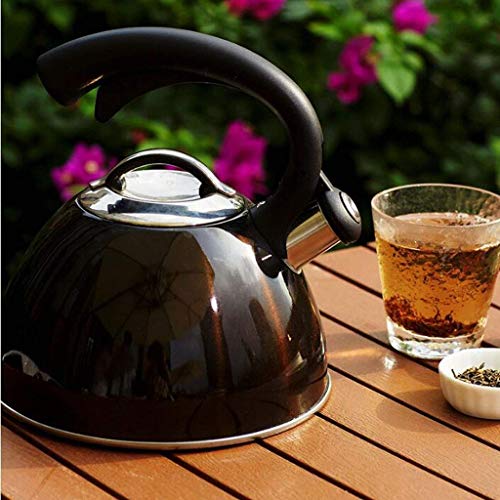Stove Top Kettle For Gas,Copper Tea Kettle Whistling Stove Top Stainless Steel With Heat Resistant Handle, Gas Electric Induction Compatible (color : Black, Size : 2.5L)