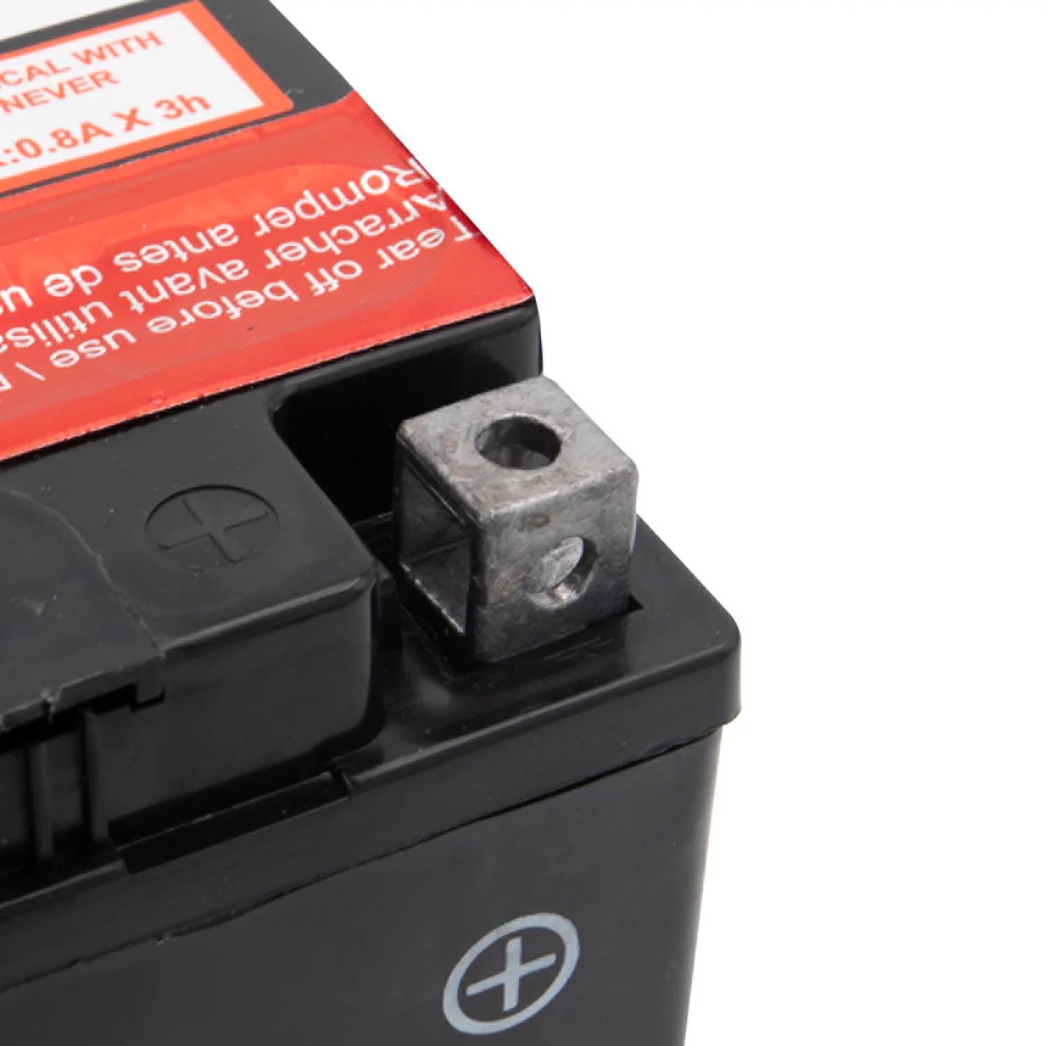 EverStart AGM PowerSport Battery, Group Size 20LBS 12 Volt, 270 CCA