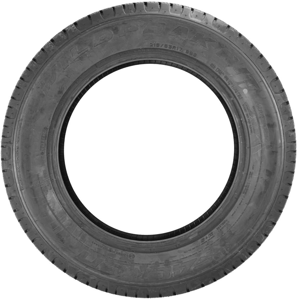 Falken Wildpeak H/T01A2 All-Season Radial Tire - 215/65R17, 99S