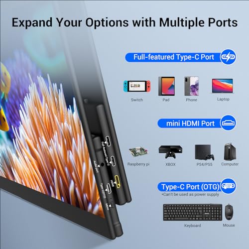 InnoView 4K Portable Monitor 15.6" 3840x2160 UHD, 95% Adobe, ΔE