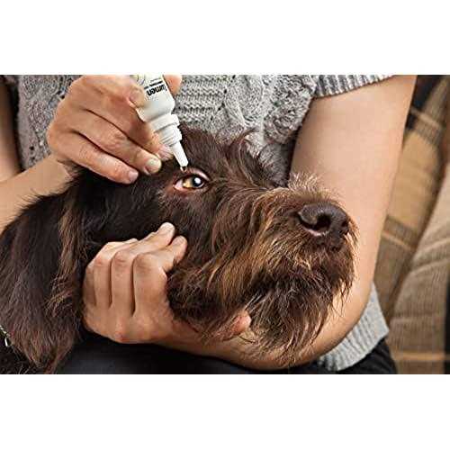 Lumenpro Pet Eye Drops Promotes Vision Clarity in Animals with Cataracts - Pet Supplies online store
