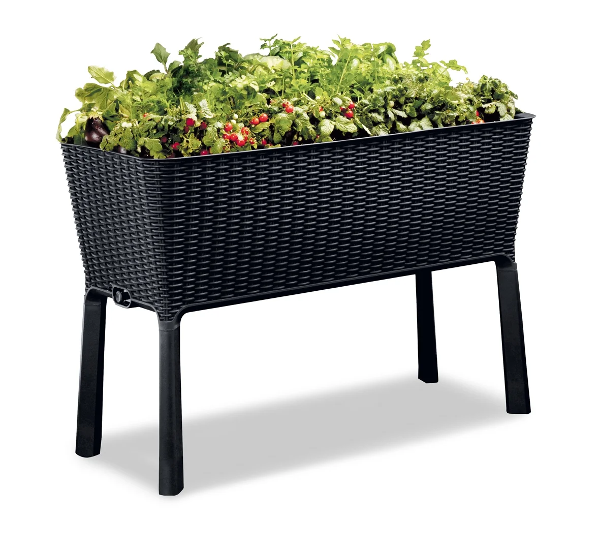 Keter Easy Grow Durable Resin Raised Garden Bed with Self-Watering and Drainage System, Rattan Anthracite Grey