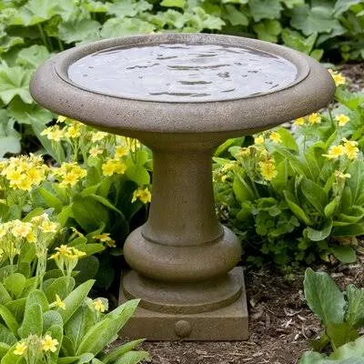 Williamsburg Birdbath Darby Home Co Color: Alpine Stone