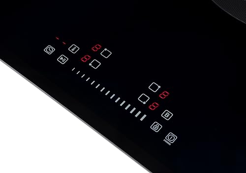 Rangaire Induction Cooktop