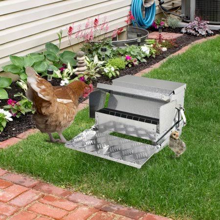 25 lb Capacity Automatic Chicken Poultry Feeder with A Galvanized Steel and Aluminium Build, Weatherproof Design, Size: 14.25