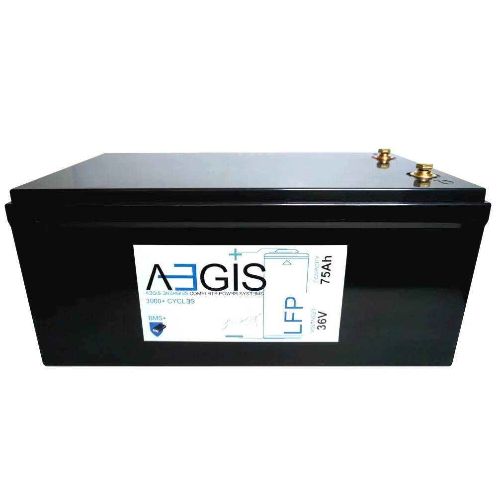 Lithium Master 36v 75ah LiFEPO4 Deep Cycle Battery - Curated Treasures Market