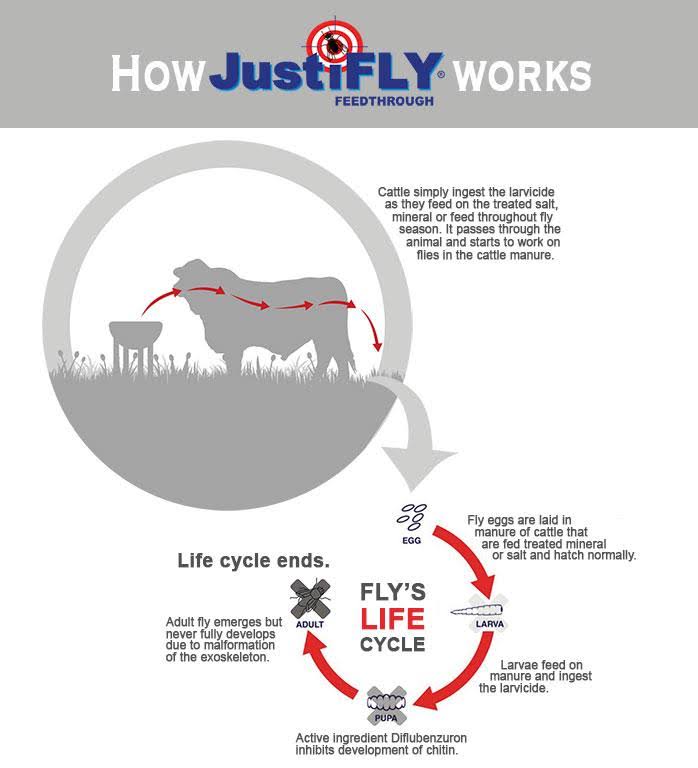 JustiFLY Fly-A-Salt Cattle Fly Control Block with Salt, 44 lb | 700 Feedings per Salt BLOCK. One Block Feeds 7 Cows for 3