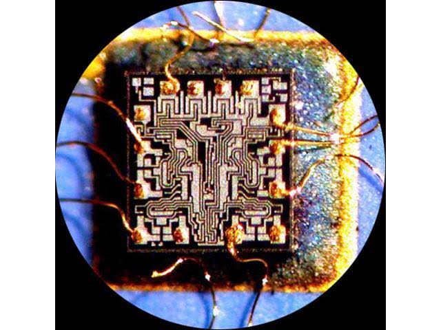 Amscope 7X-45X Dissecting Circuit 144-LED Zoom Stereo Microscope with 3MP Digital Camera