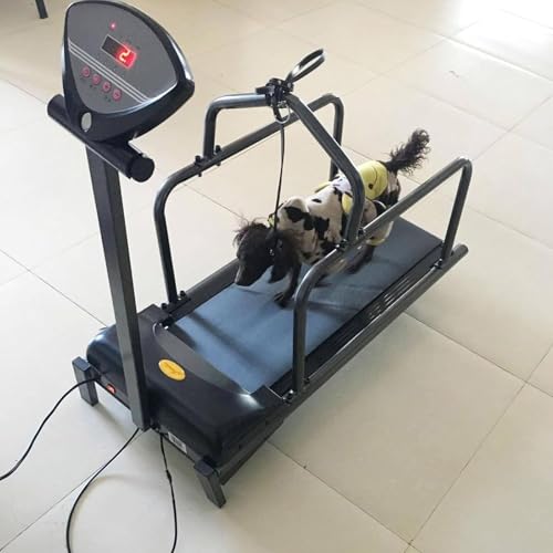 Dog Treadmill Large Dogs, Doggy Treadmill, Dog Treadmill Medium Dogs, Pet Running Machine Small & Medium Dog Exercise, Indoor Treadmill