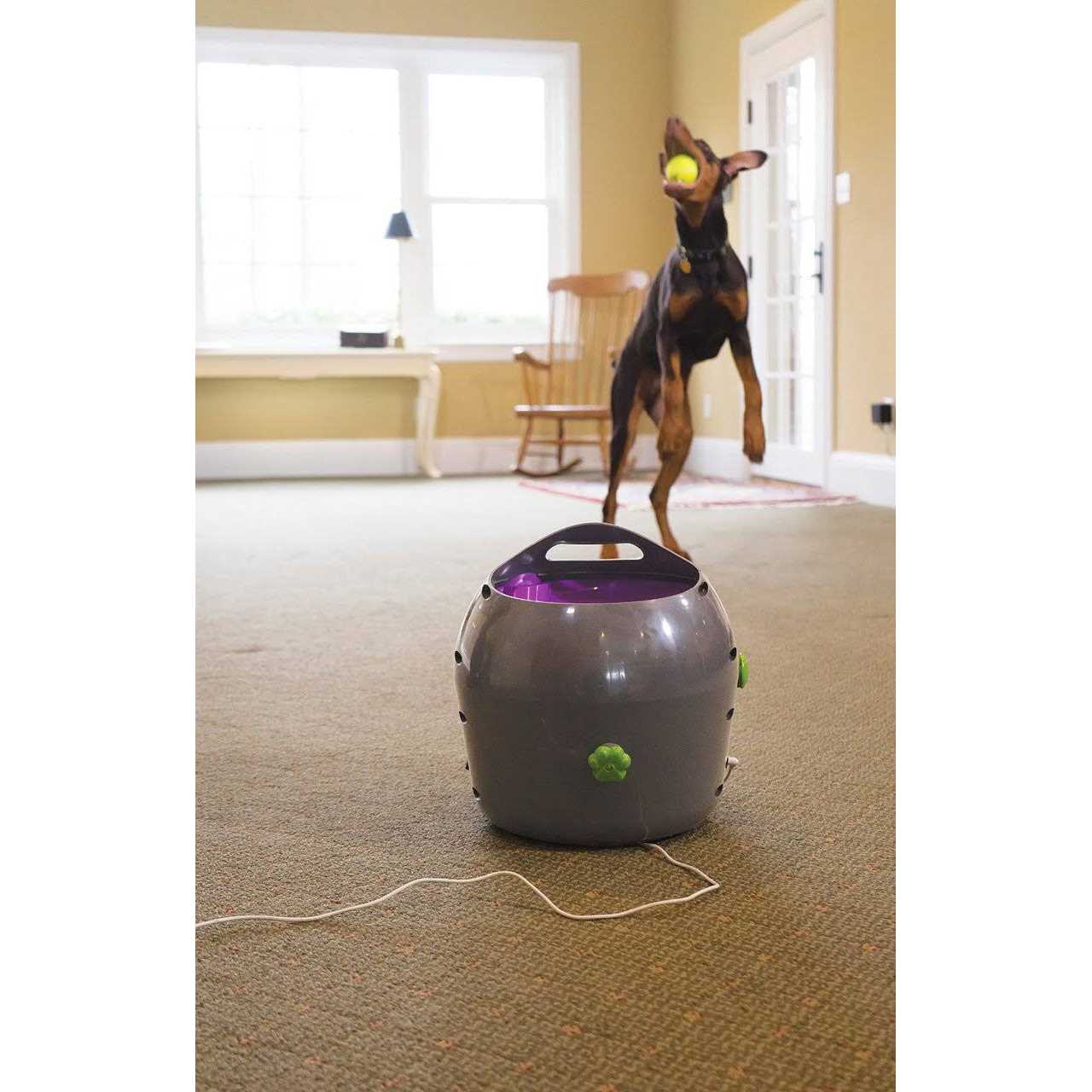 PetSafe Automatic Ball Launcher Dog Toy - Pet Supplies online store