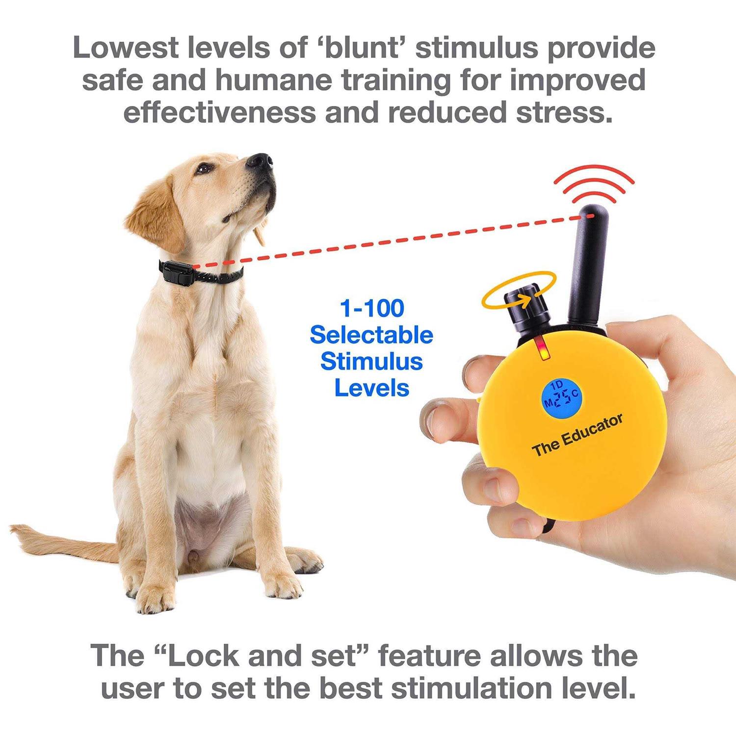 E-Collar Technologies ET-400 Educator Remote Dog Training Collar - Pet Supplies online store