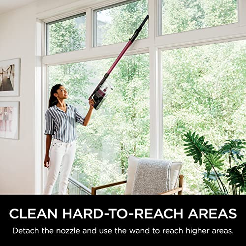 Shark | Pet Cordless Vacuum Cleaner | LED Headlights | Removable Handheld Vacuum for Pet Hair | Crevice Tool & Pet Multi-Tool Included | 40min Runtime | For Carpet & Hard Floors | Grey | IX141