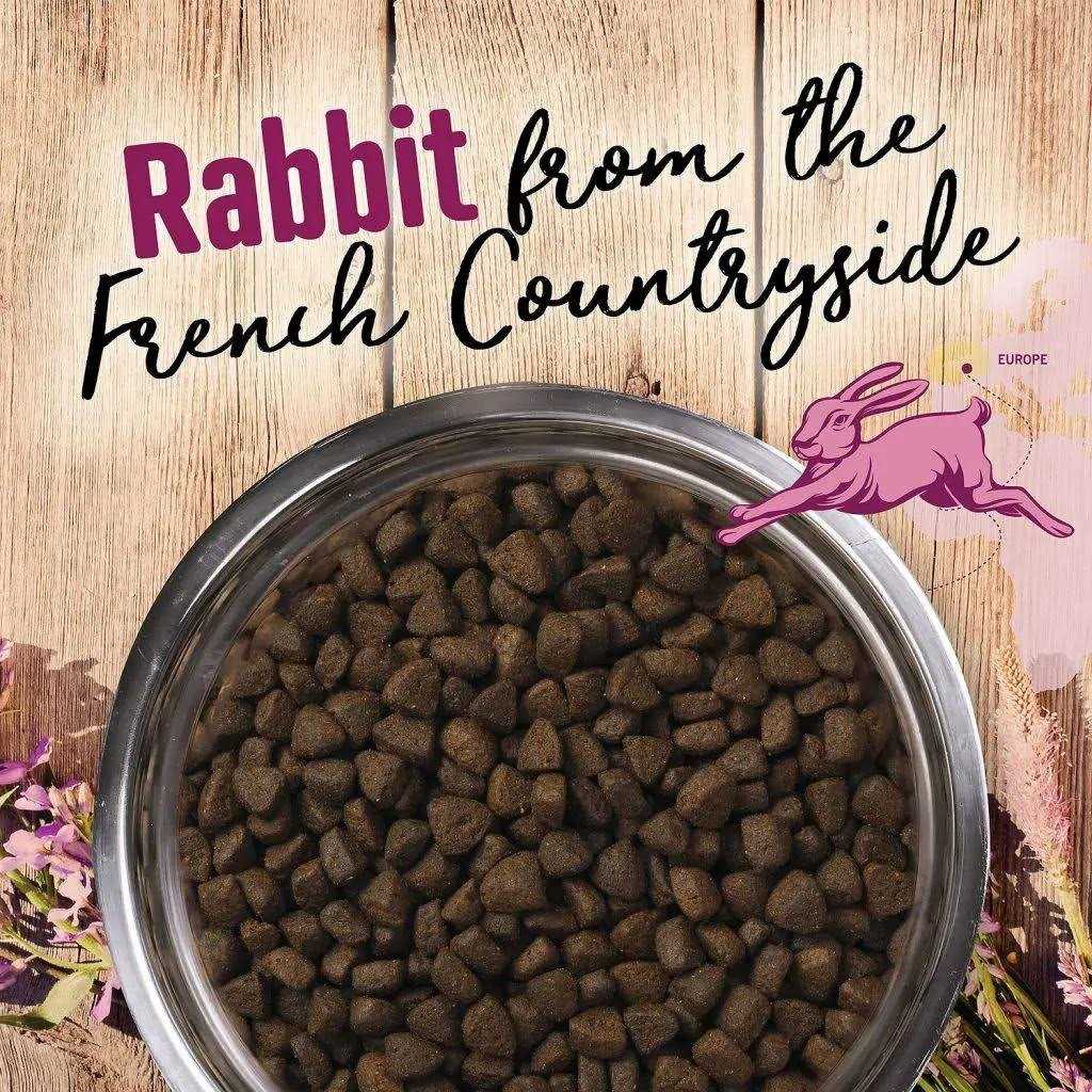 Earthborn Holistic Venture Grain Free Rabbit Meal Pumpkin Dry Dog Food - Pet Supplies online store