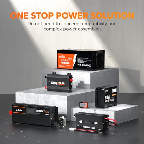 LiTime 12V 100Ah LiFePO4 Battery BCI Group 31 Lithium Battery Built-in 100A BMS, Up to 15000 Deep Cycles, Perfect for RV, Marine, Home Energy Storage
