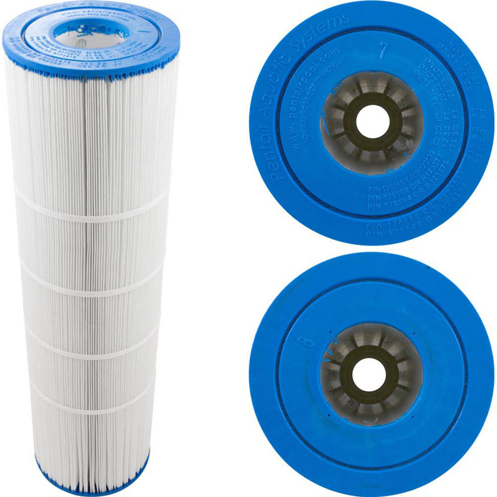 Pentair R173576 Replacement Cartridge for Clean Clear Plus 420