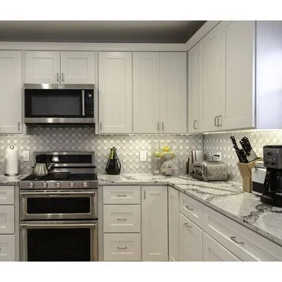 Frits Fully Assembled 24x36x12 in. Shaker Style Kitchen Blind Wall Cabinet 1-Door in White Ebern Designs Finish: White