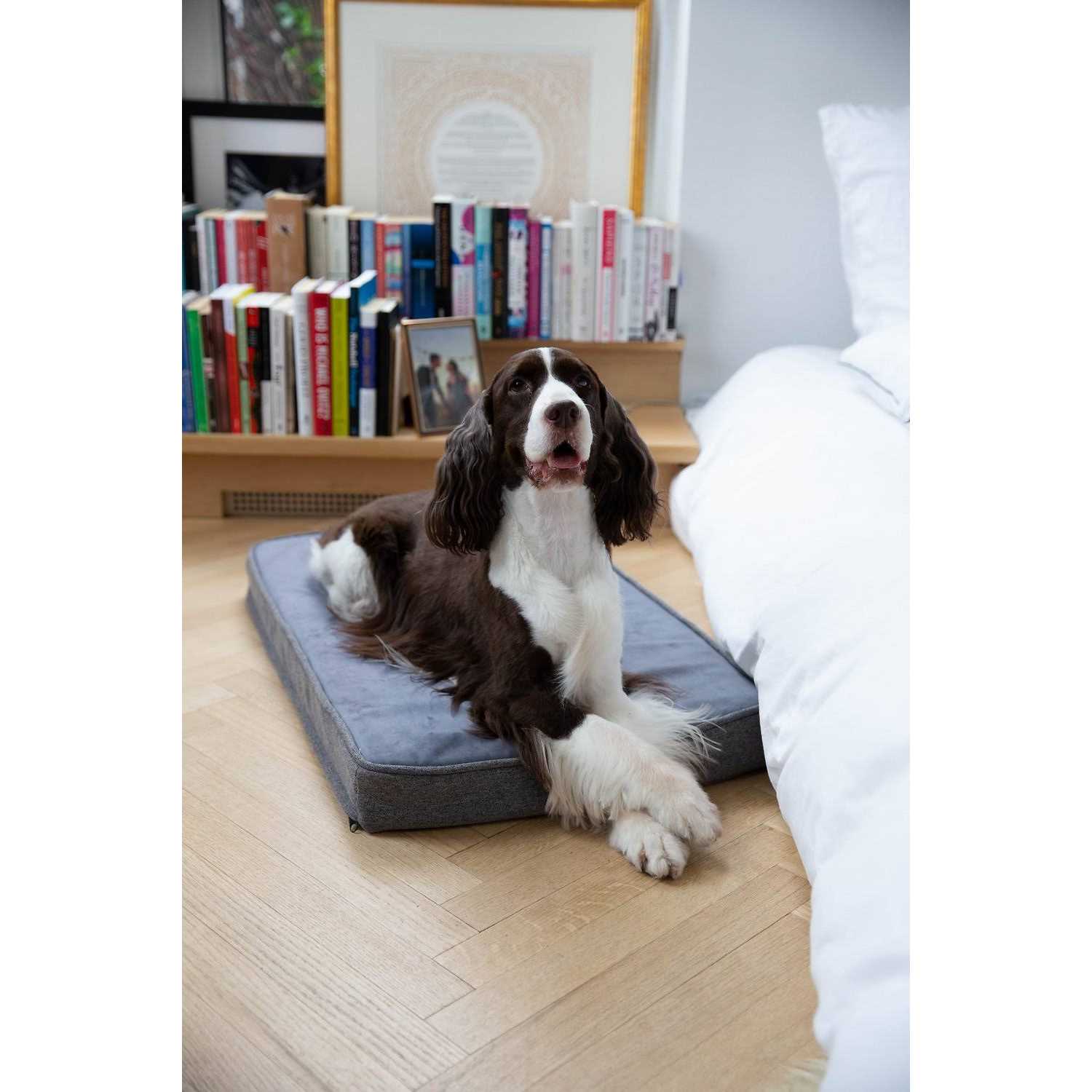 Snooz Memory Foam Crate Pad &amp; Dog Bed Diggs - Pet Supplies online store