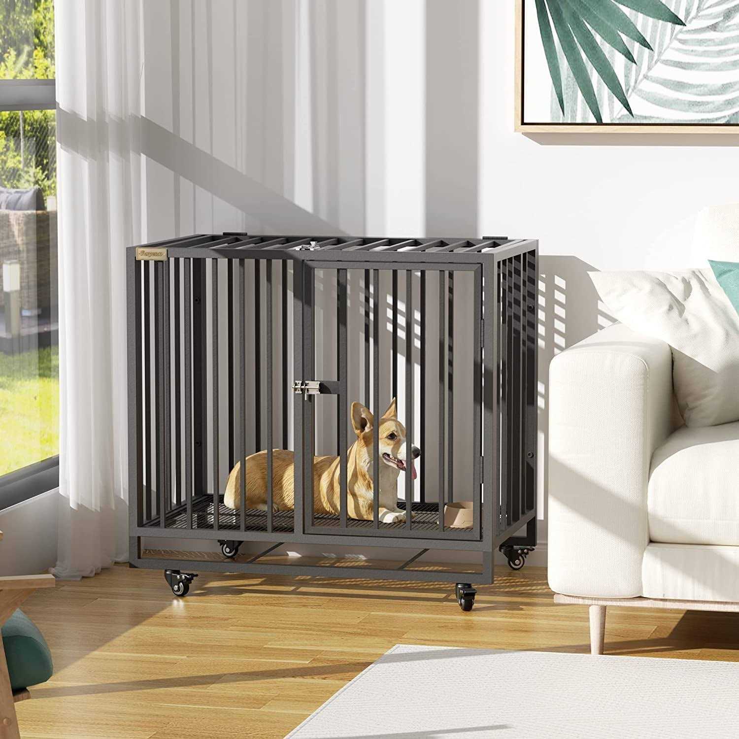 Furpezoo Dog Crate Heavy Duty Strong Steel Dog Cage Medium Dog Kennel with 4 Wheels - Pet Supplies online store