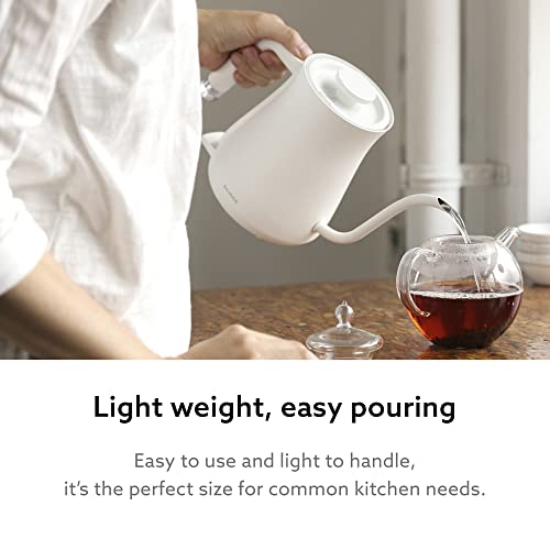 Balmuda The Kettle