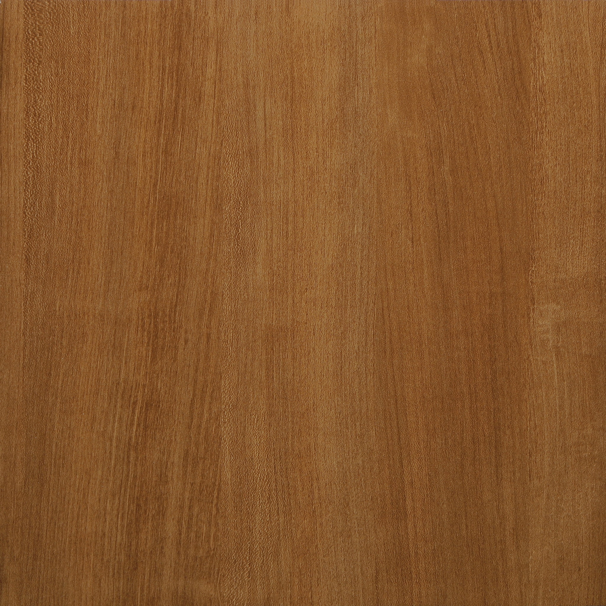 Sauder HomePlus 2-Door Storage Cabinet, Sienna Oak Finish