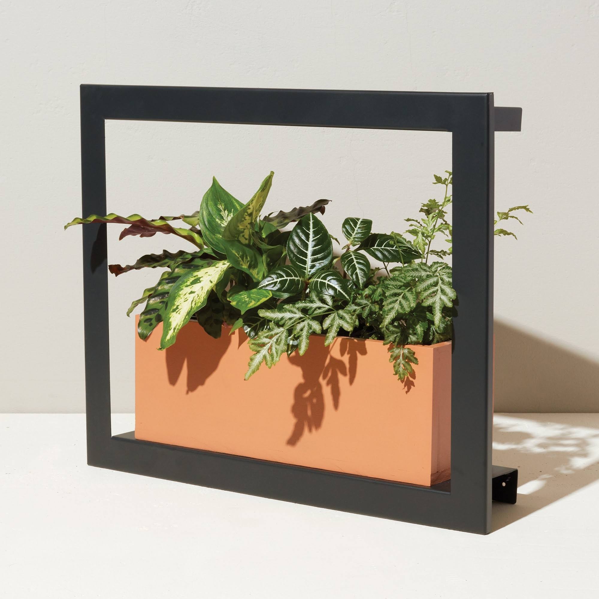 Modern Sprout Smart Growframe - Matte Black