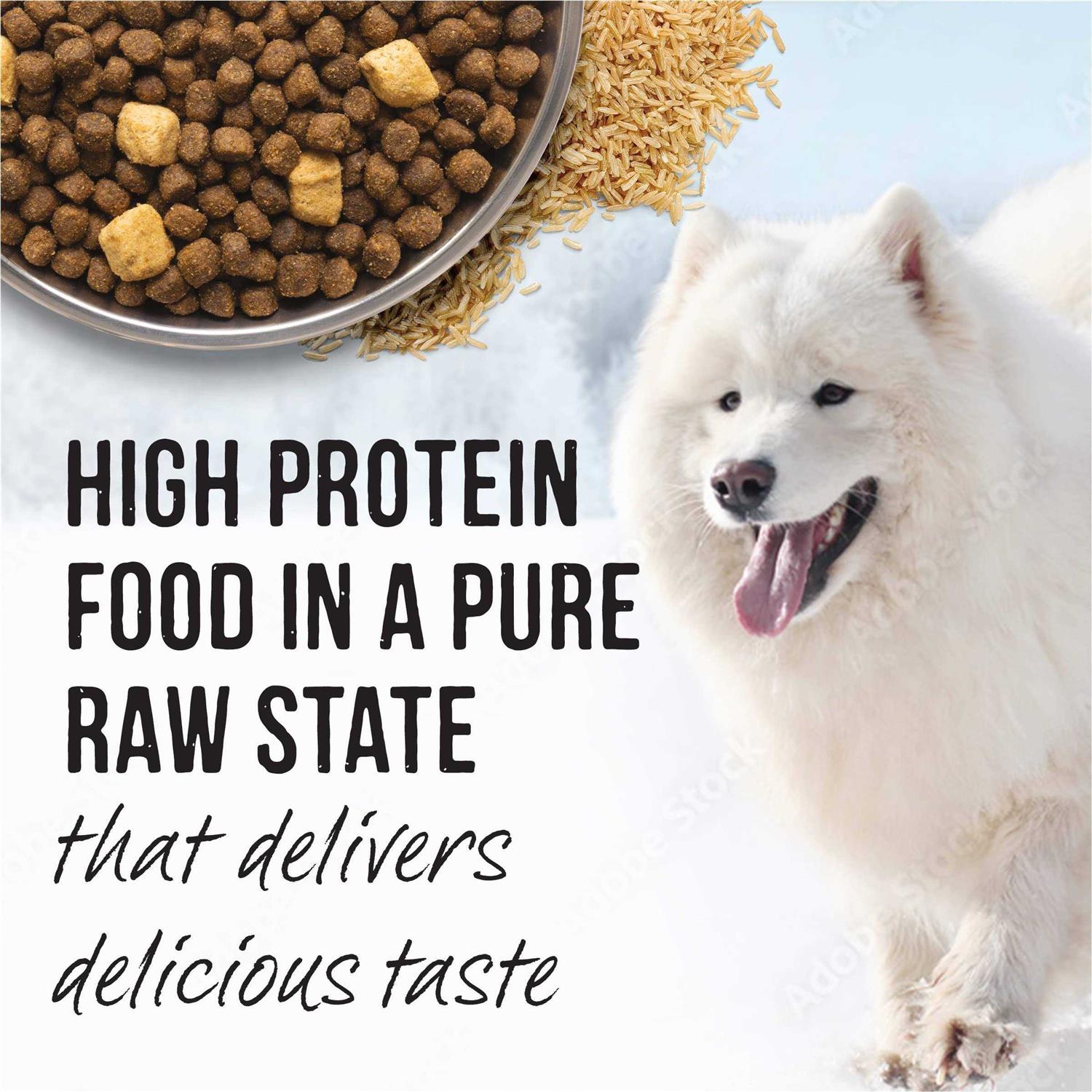 Merrick Backcountry Grain Free Raw Infused Recipe Dry Dog Food - Pet Supplies online store