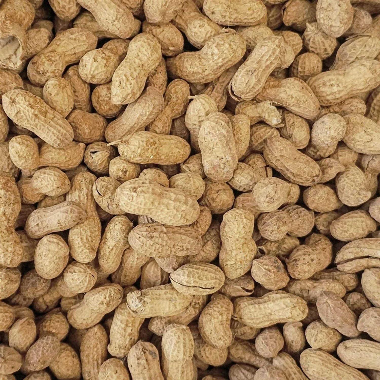 Wildlife Elements Peanut Party In-Shell Peanuts For Birds