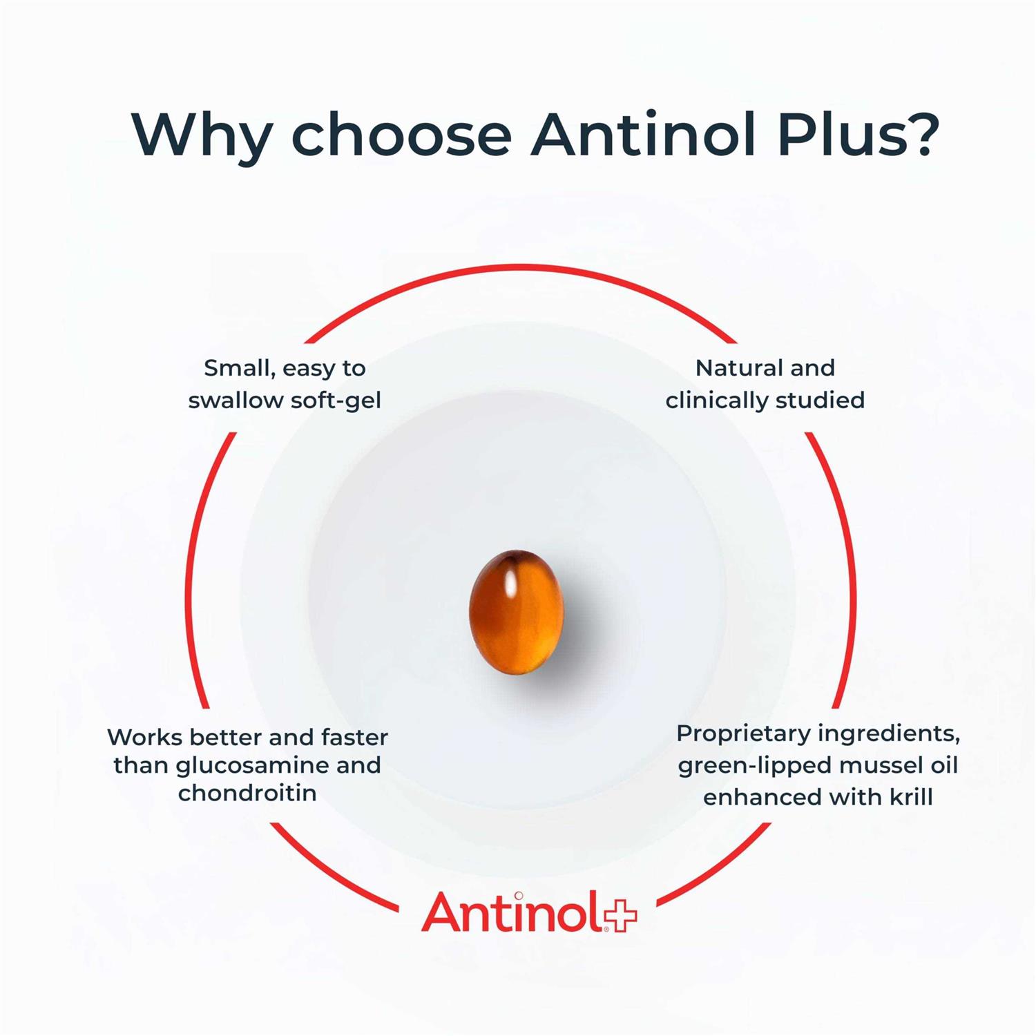 Antinol Plus 60ct - Pet Supplies online store