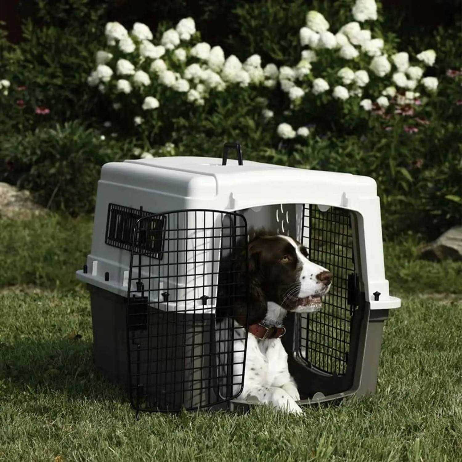 Pet Lodge Double Door Plastic Crate - Pet Supplies online store