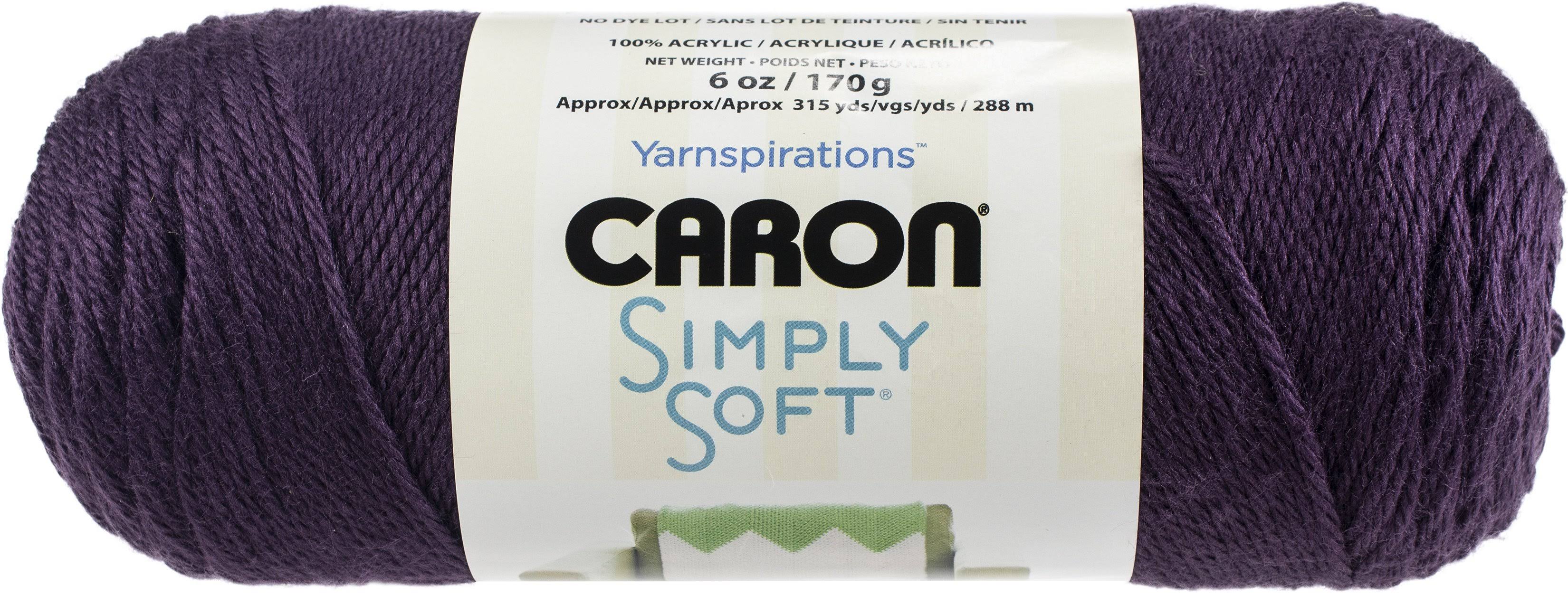 Caron Simply Soft Solids Yarn 24/Pk-Plum Perfect