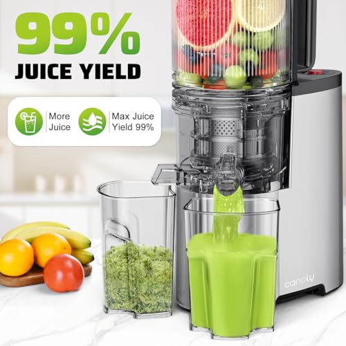 Cold Press Juicer, 5.8" Wide Feed Chute Juice Extractor Machine with 400W, High Juice Yield, Slow Masticating Juicer for Whole Vegetables & Fruits, Metallic Silver