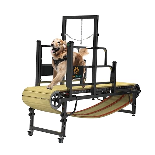 PawPaw's Large & Medium Dog Treadmill - Indoor & Outdoor Use, Up to 220 lbs, Slatmill Design with Brake