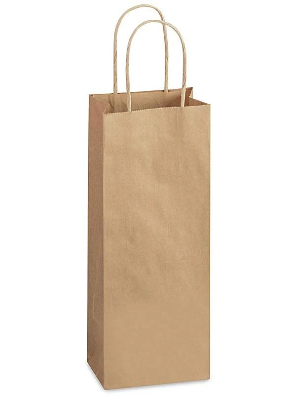 Recycled Paper Shopping Bags - 5 1/2 x 3 1/4 x 12 1/2