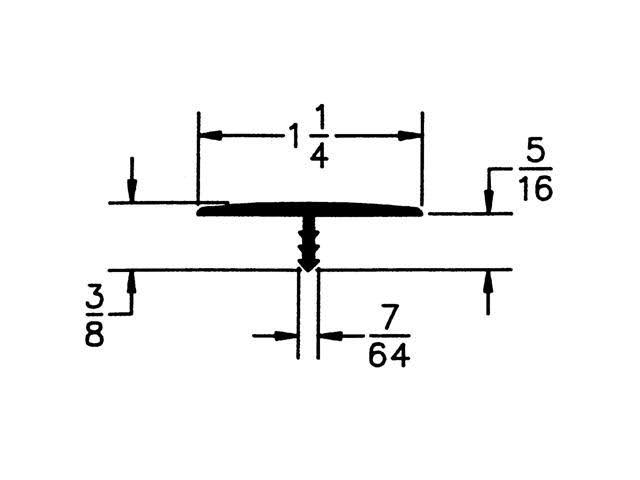 Plastic Standard T Molding 1-1/4in | 105-543-113