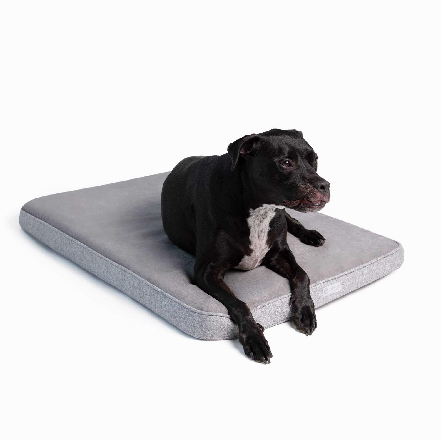 Snooz Memory Foam Crate Pad &amp; Dog Bed Diggs - Pet Supplies online store