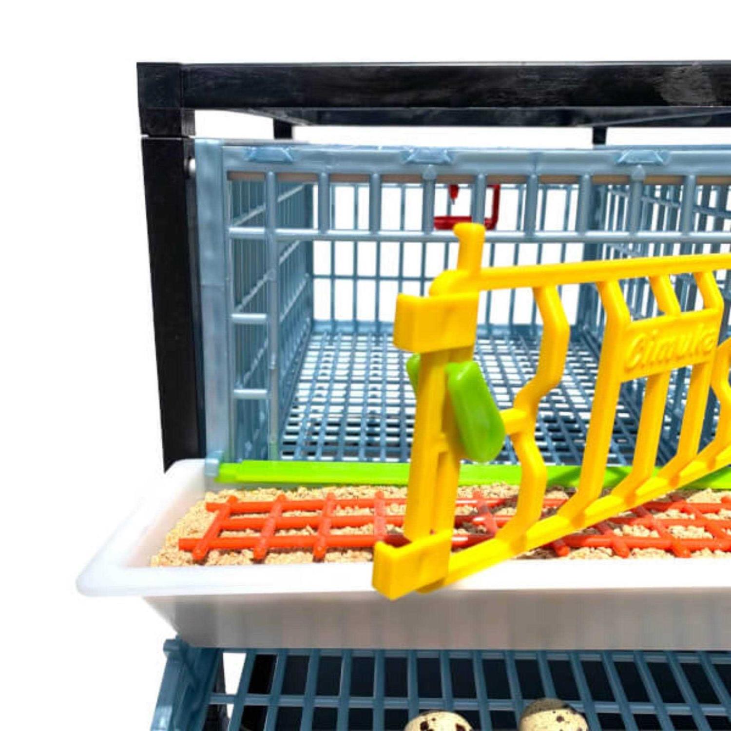 Hatching Time Partridge Cage 1 Layer - Pet Supplies online store