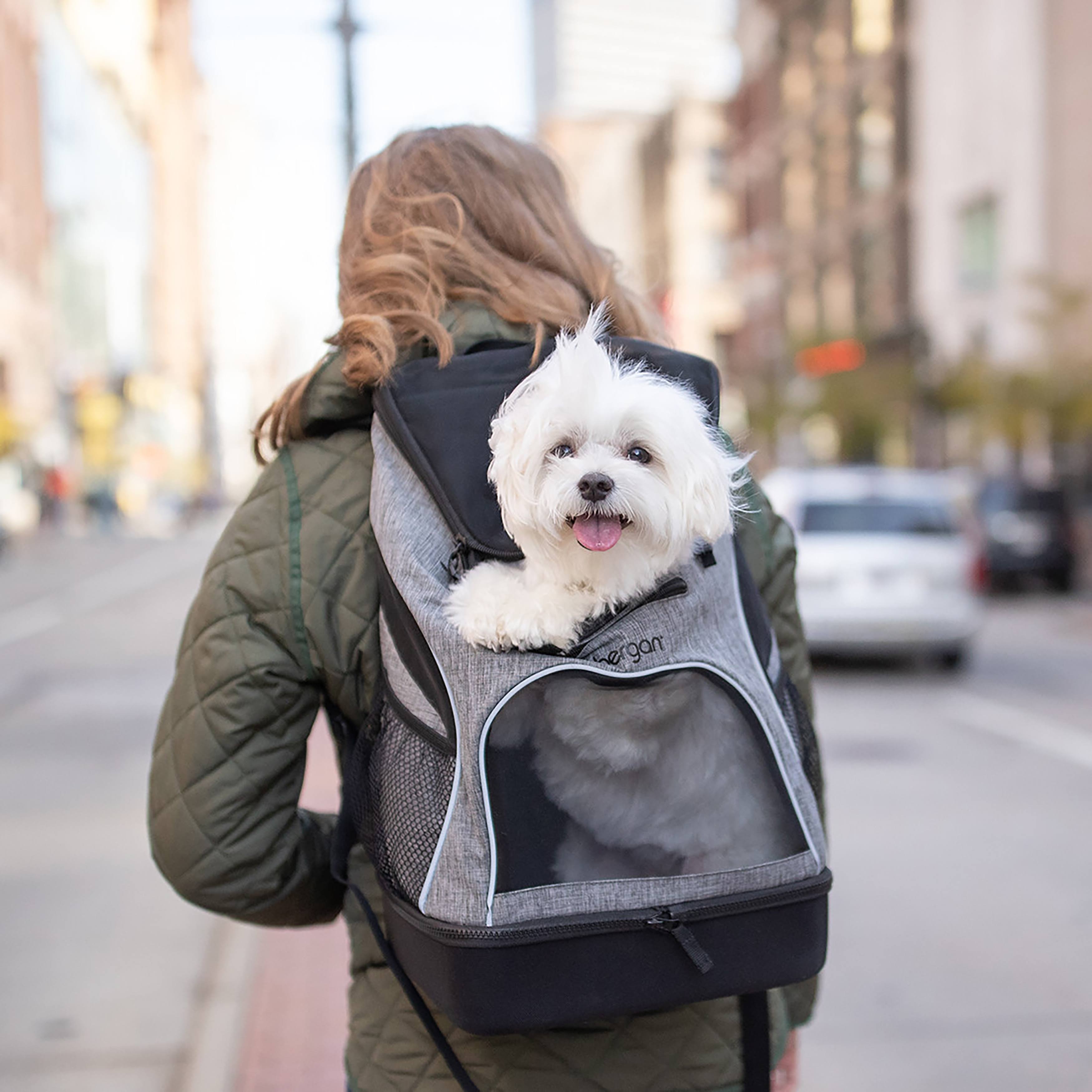 Bergan Backpack Pet Carrier