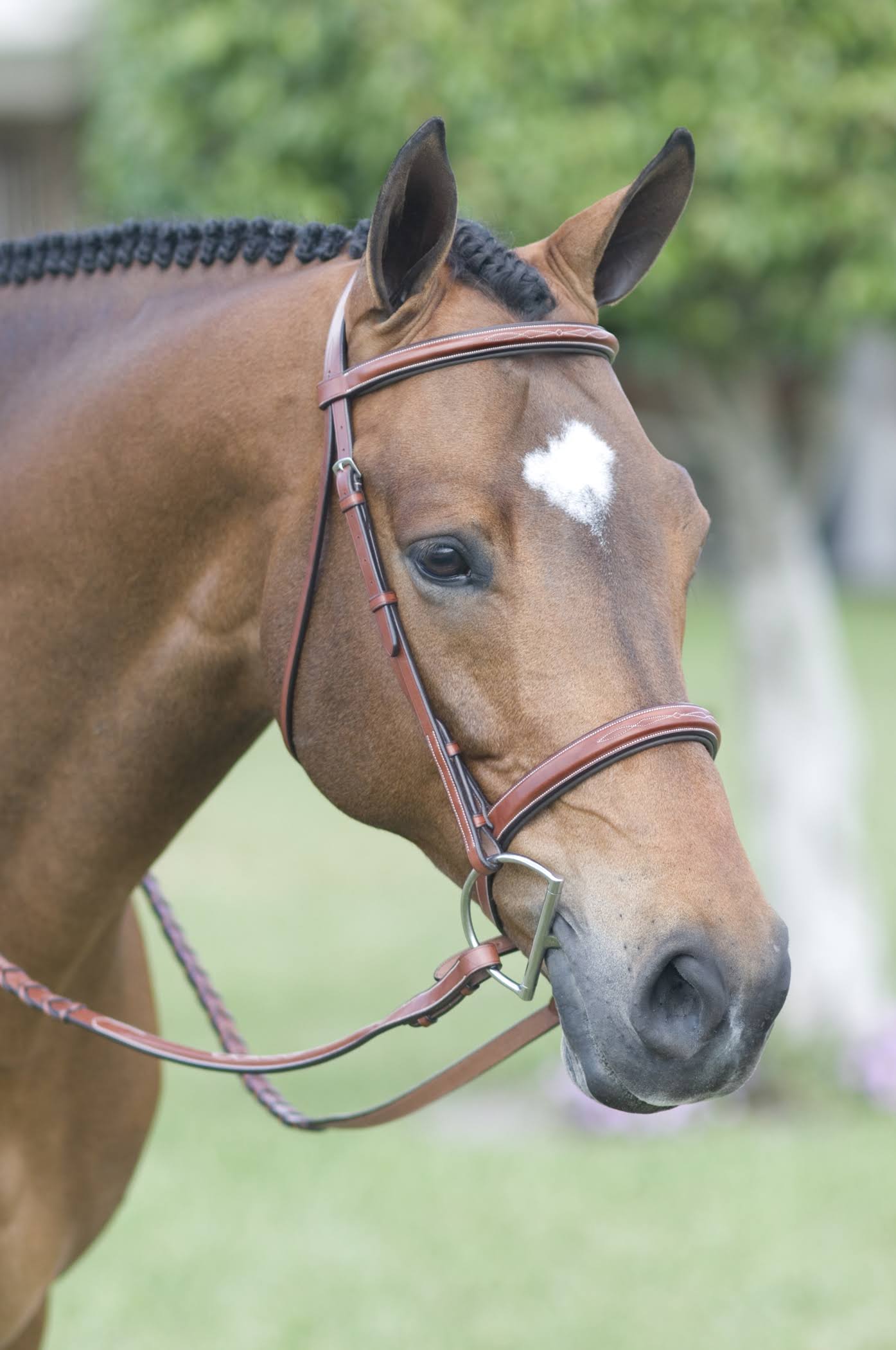 Pessoa Rodrigo Fancy Stitched Padded Wide Noseband Show Bridle - Medium Brown