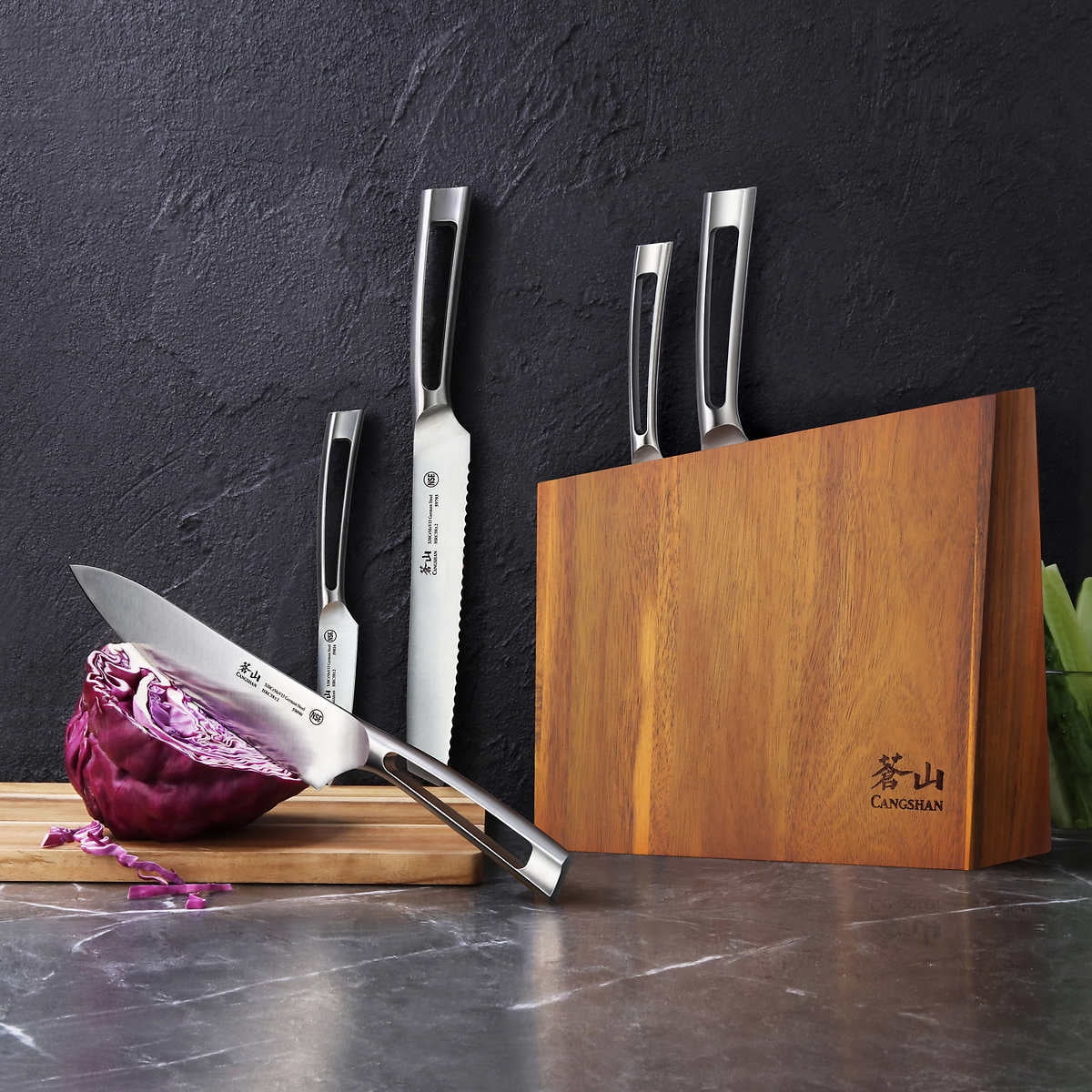 Cangshan N1 Series 6-Piece Forged German Steel Knife Set - Curated Treasures Market