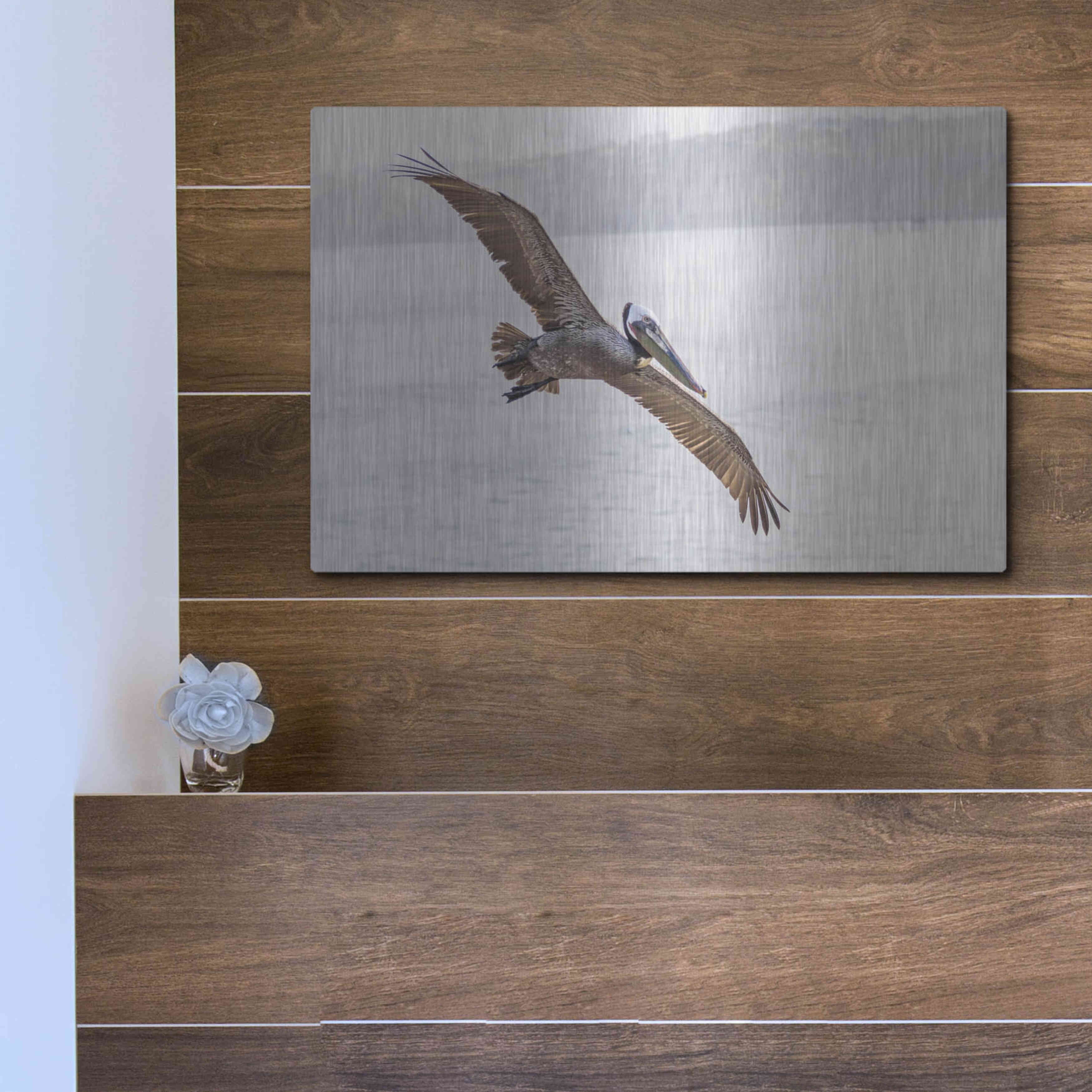 Luxe Metal Art 'Pelican Spread' by Chris Moyer, Metal Wall Art, 16"x12"